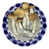 Buy Blue Goba Magic Mushroom online Georgia