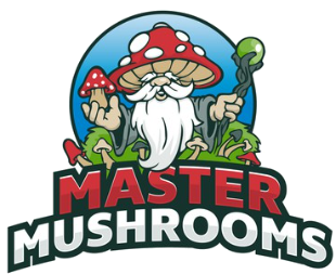 Magic Mushroom Master